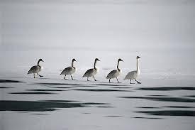 What type of leader are you?
